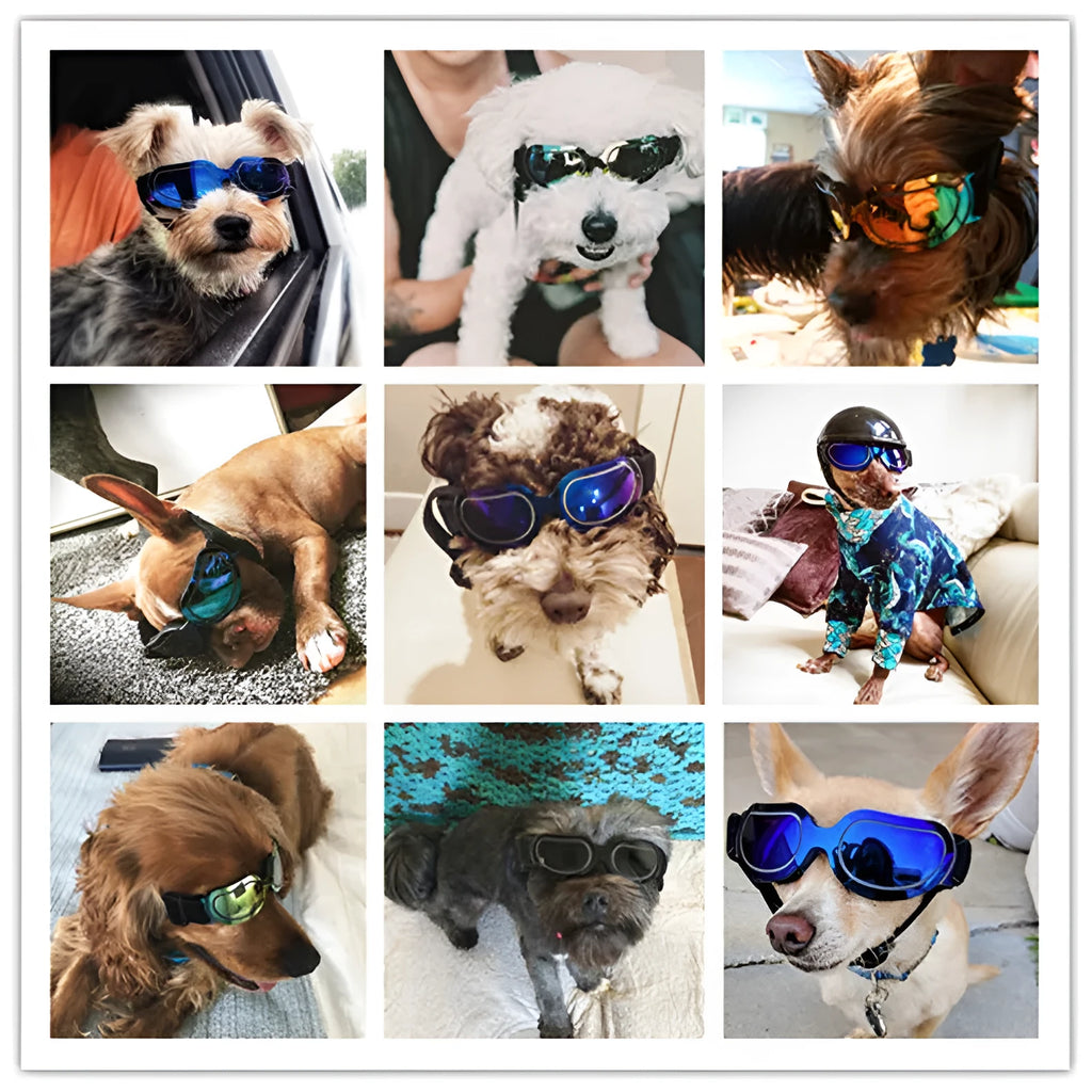 Colourful pet sunglasses for dogs and cats with PC frame, shown in Dazzle, black, blue, and silver colourways