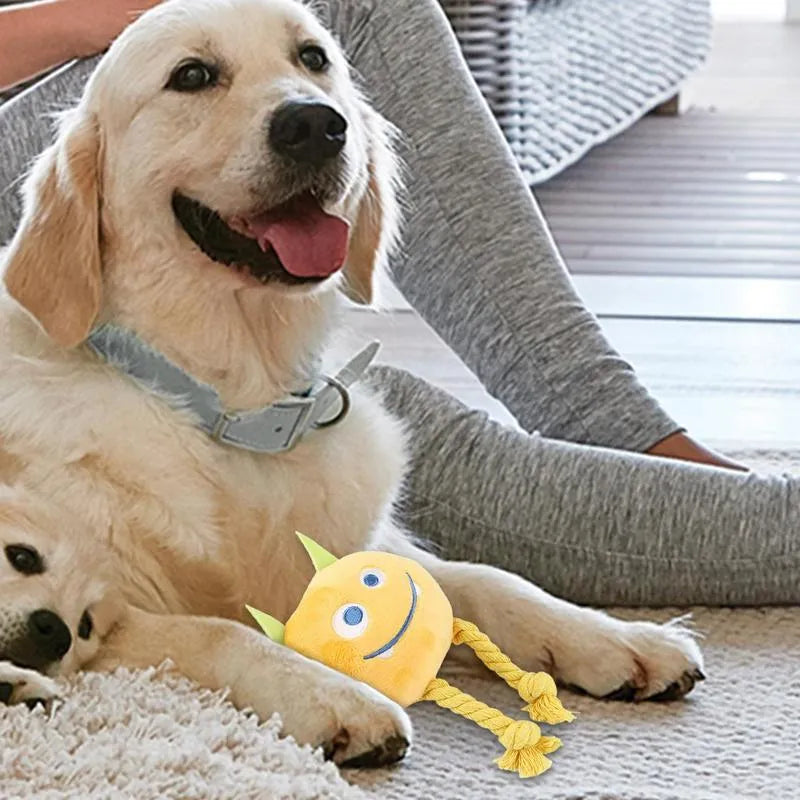 Yellow and blue dog squeaky toy with knot rope design for chewing and dental cleaning