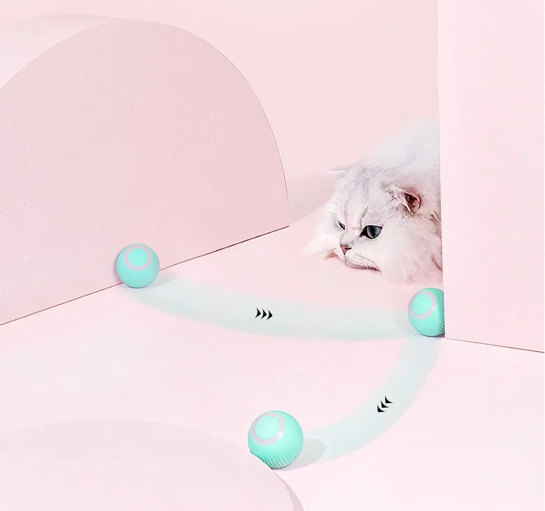 Cat Gravity Intelligent Rolling Ball 43mm plastic toy with black and white cat watching it move on a hard floor