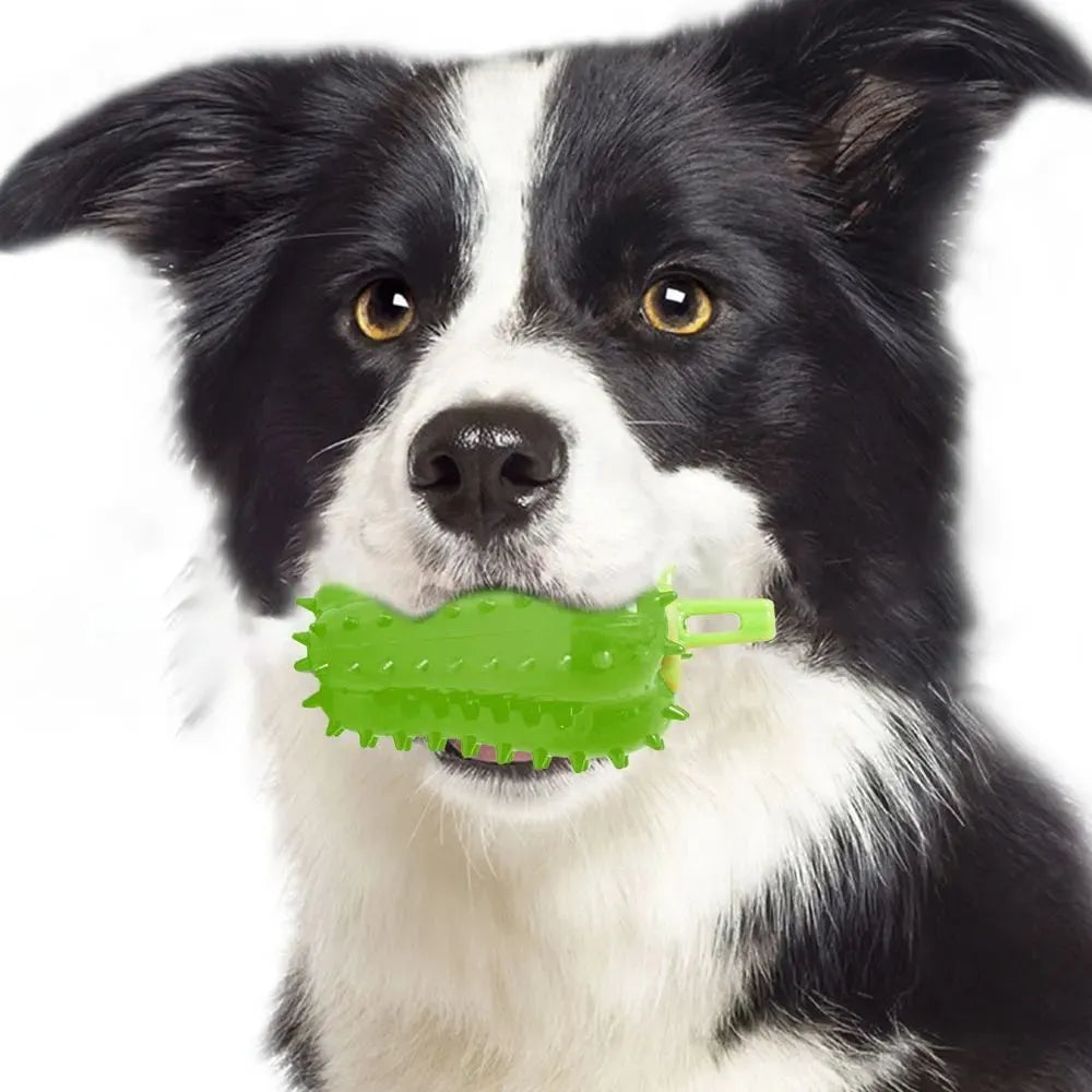 Interactive dog teething chew toy in TPR rubber, 10x5.2cm, treat dispensing, beef scent, green red yellow