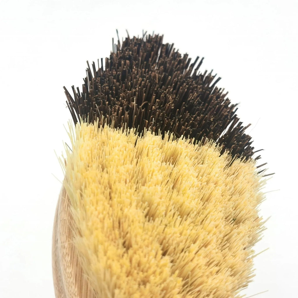 Bamboo vegetable brush with two-tone painted finish and oval shape for cleaning fruit and vegetables