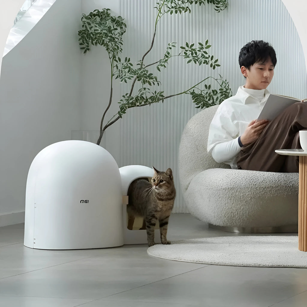 Oversized enclosed cat litter box in moss green with front entry and top viewing lid