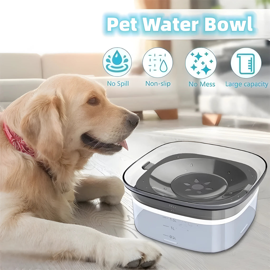 Large transparent pet water bowl with floating slow-feeder disk inside.