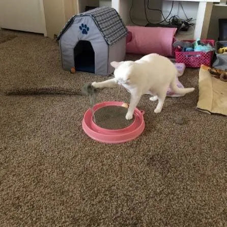Blue interactive cat scratcher toy with central scratch pad, circular ball track, and a mouse swatter accessory.