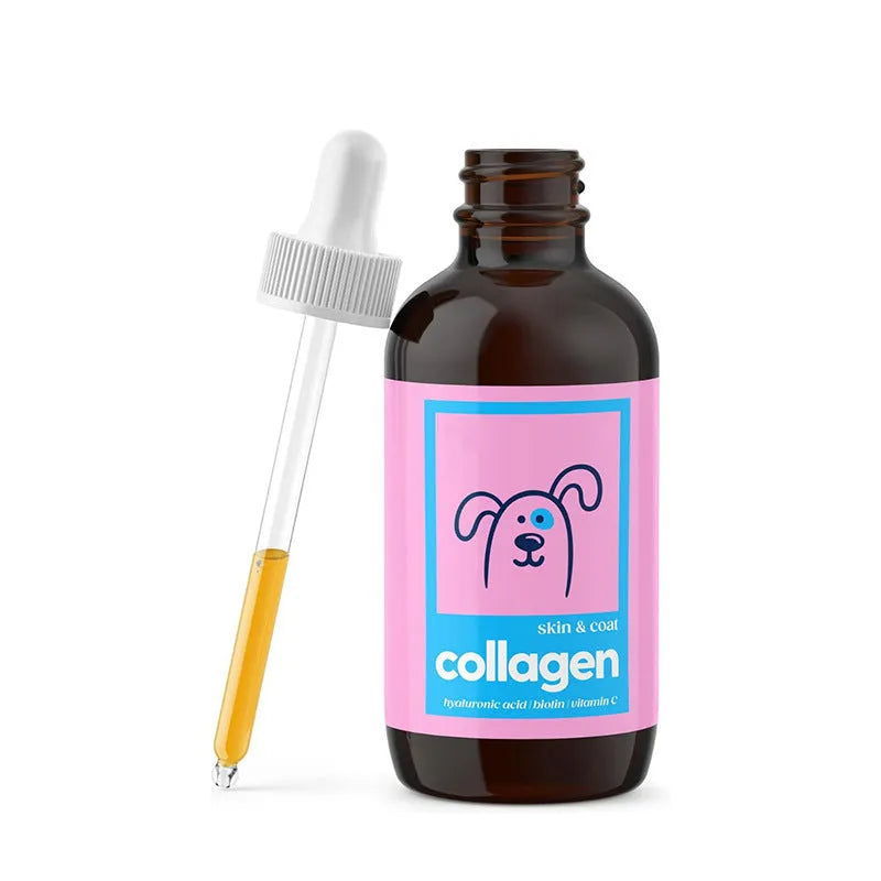Bottle of pet collagen drops for dogs and cats, liquid supplement for joint health and skin coat support