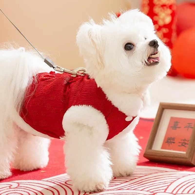 Red Chinese-style cotton dog coat for small dogs, thick material, plush lining, sizes XS-XXL