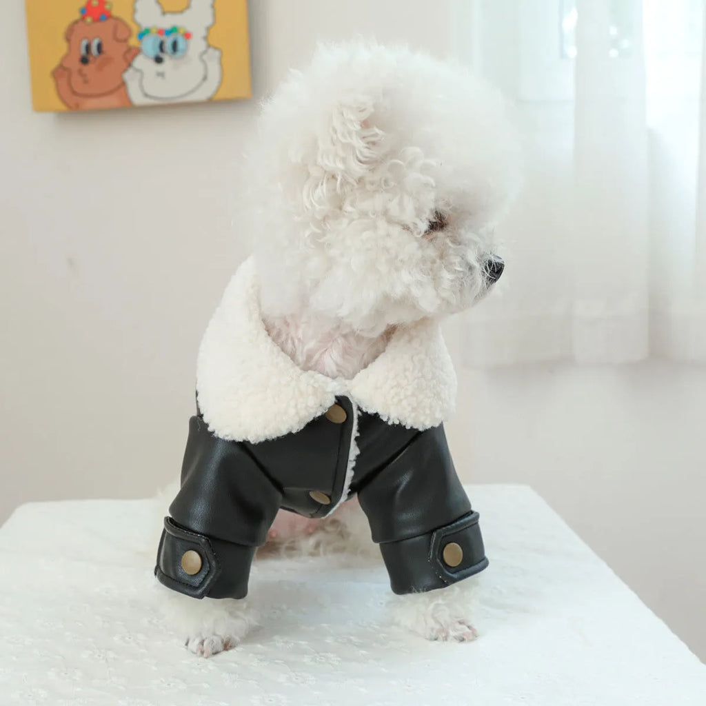 Fleece lined padded dog coat for small to large dogs in beige, black, and suede leather colour options.