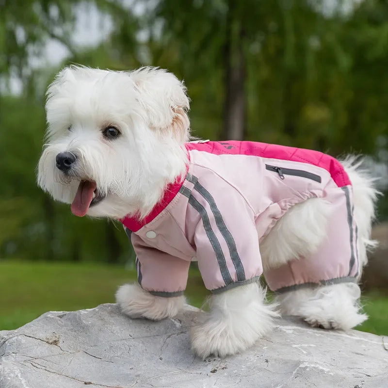 Red dog down jacket with fleece lining for small breeds, four-legged cotton design, side view on white background