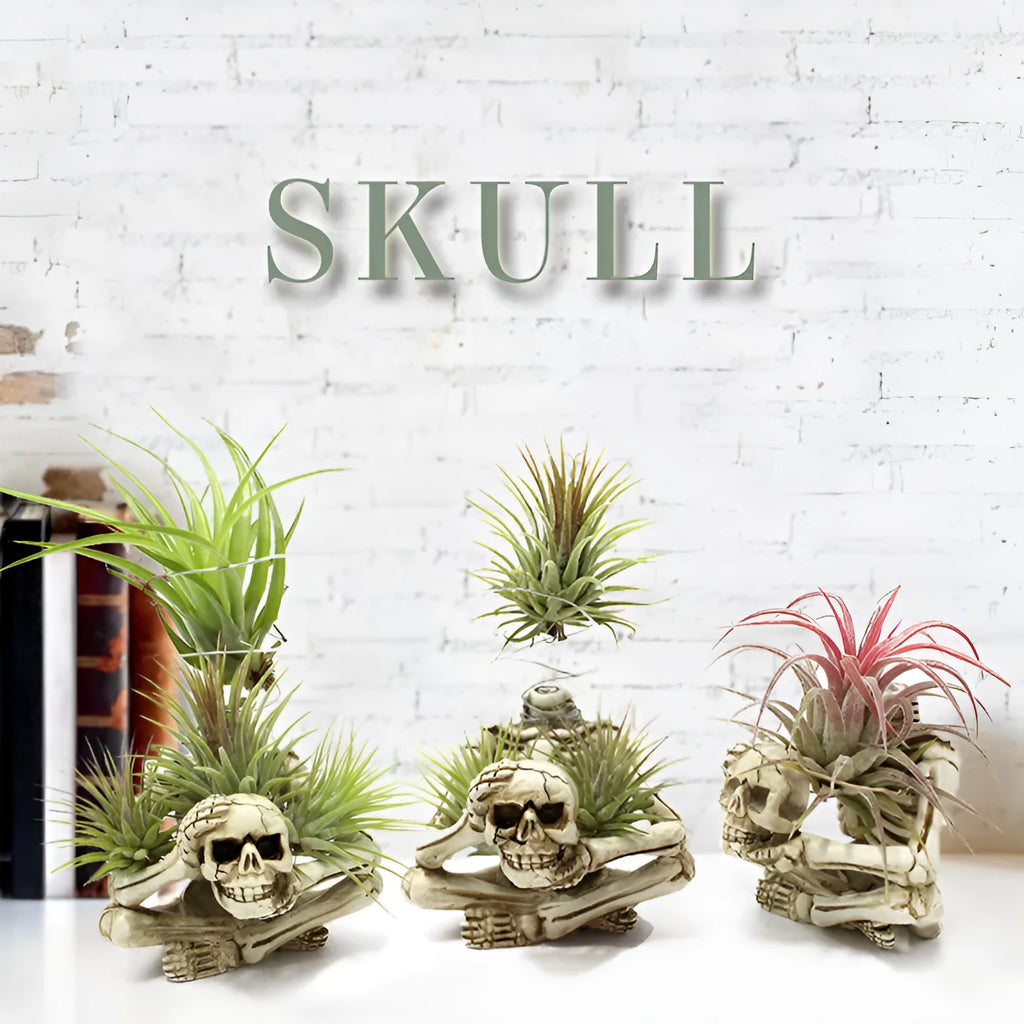 Gothic skull resin tillandsia bracket with iron base for wall mounting air plants