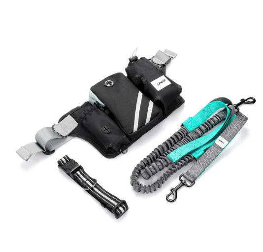 Black nylon pet training set showing waist bag with attached leash and matching dog collar