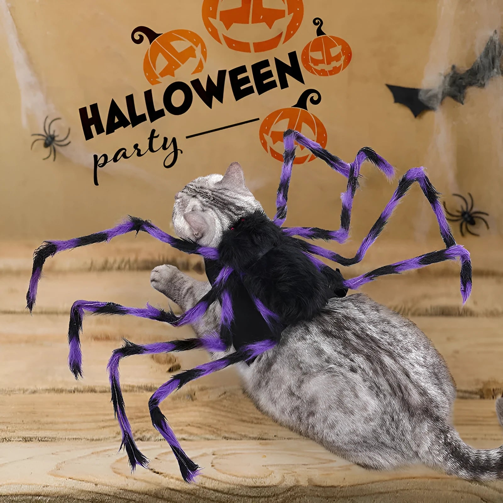 Grey polyester spider Halloween costume worn by a small dog, showing eight draped legs.