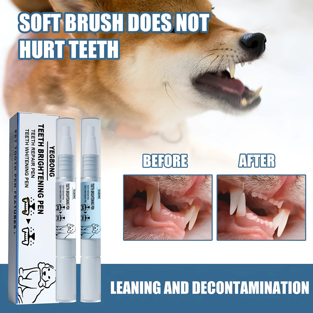 Pet teeth whitening pen set with applicator and dental brushes for dog and cat tartar removal