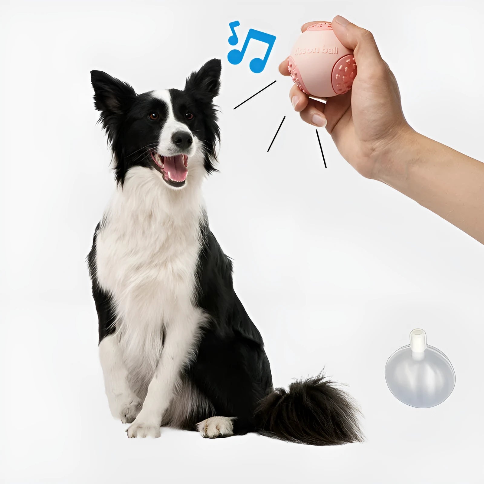 Green and pink durable plastic rolling ball dog toy with 64mm diameter.