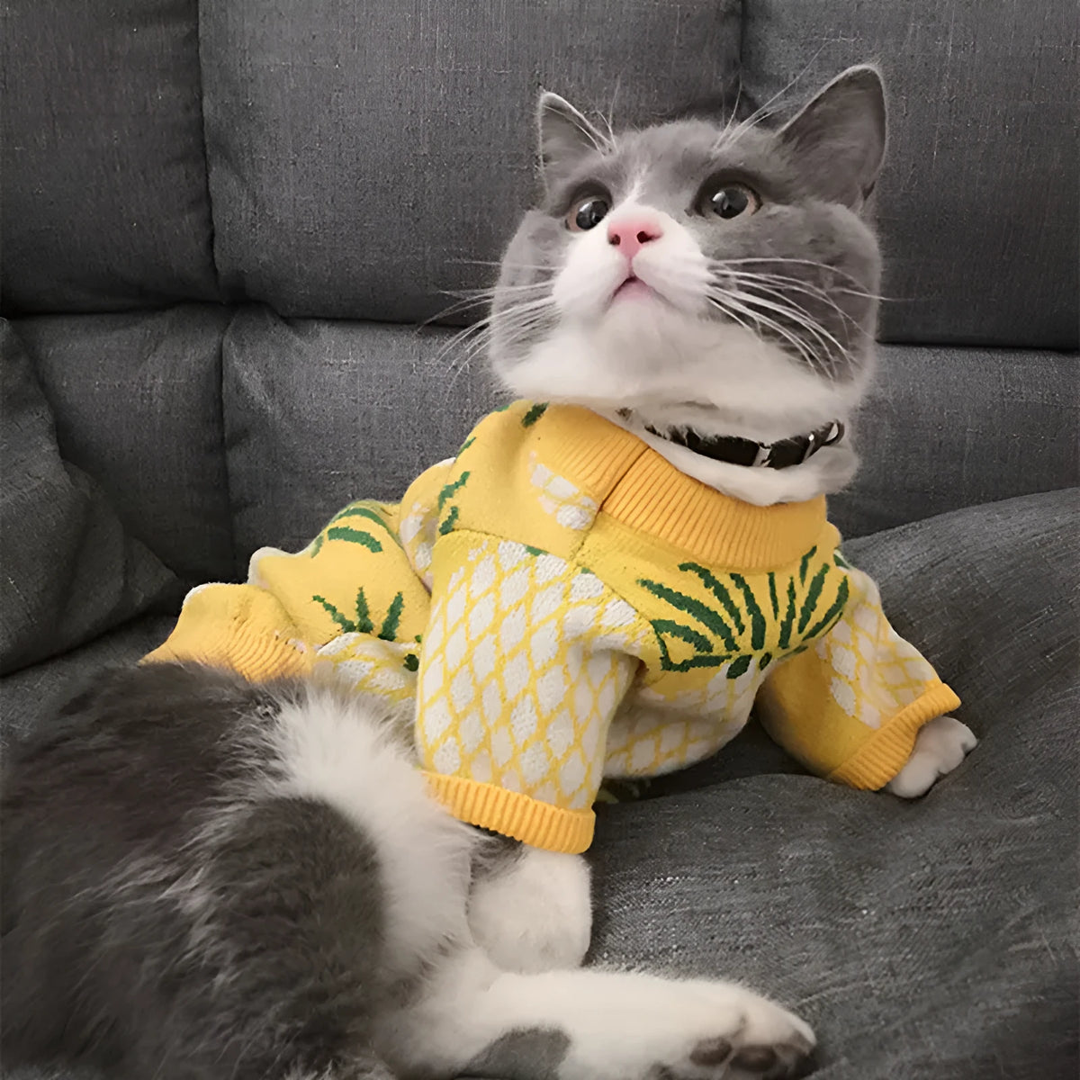 Yellow pineapple print wool pet jumper for dogs and cats, sizes S to XXL, autumn winter Christmas pet clothes