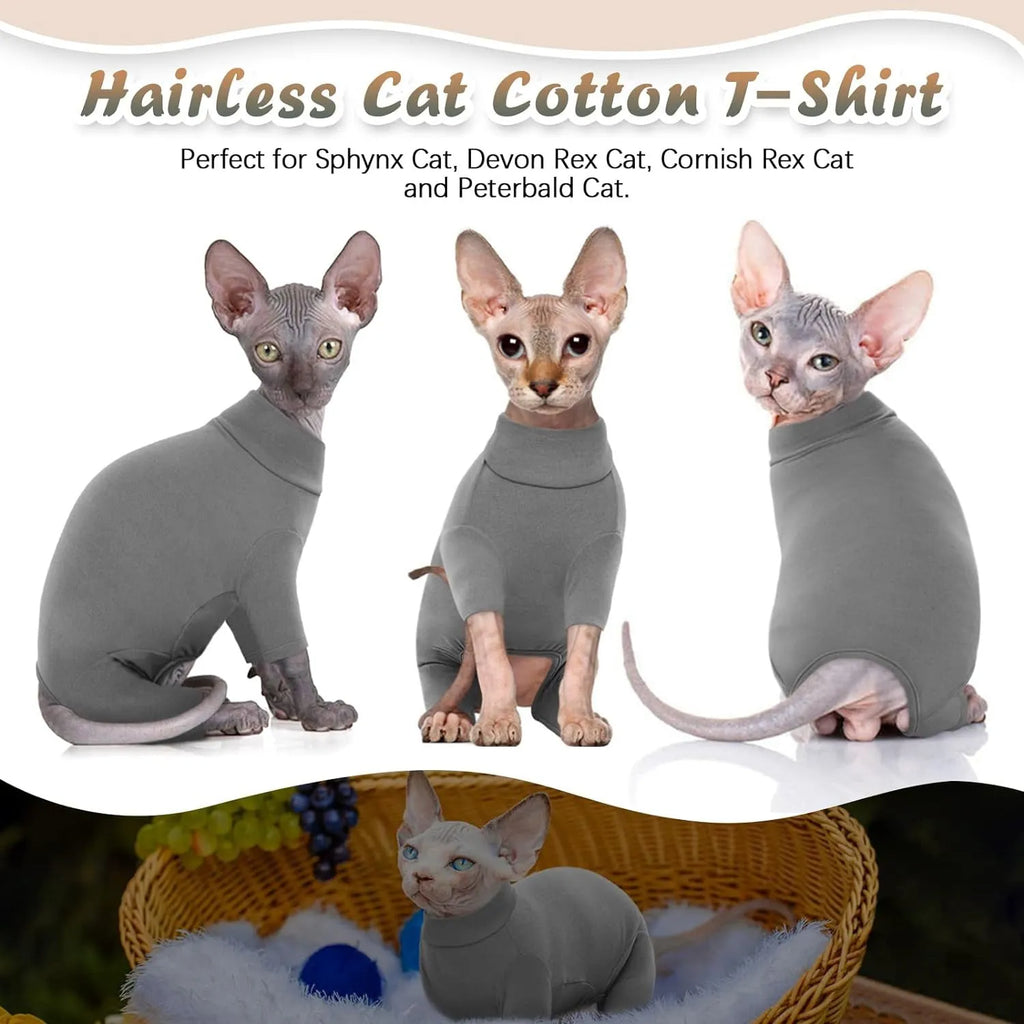 Hairless cat wearing soft winter sweater with leg openings and semi-turtleneck design