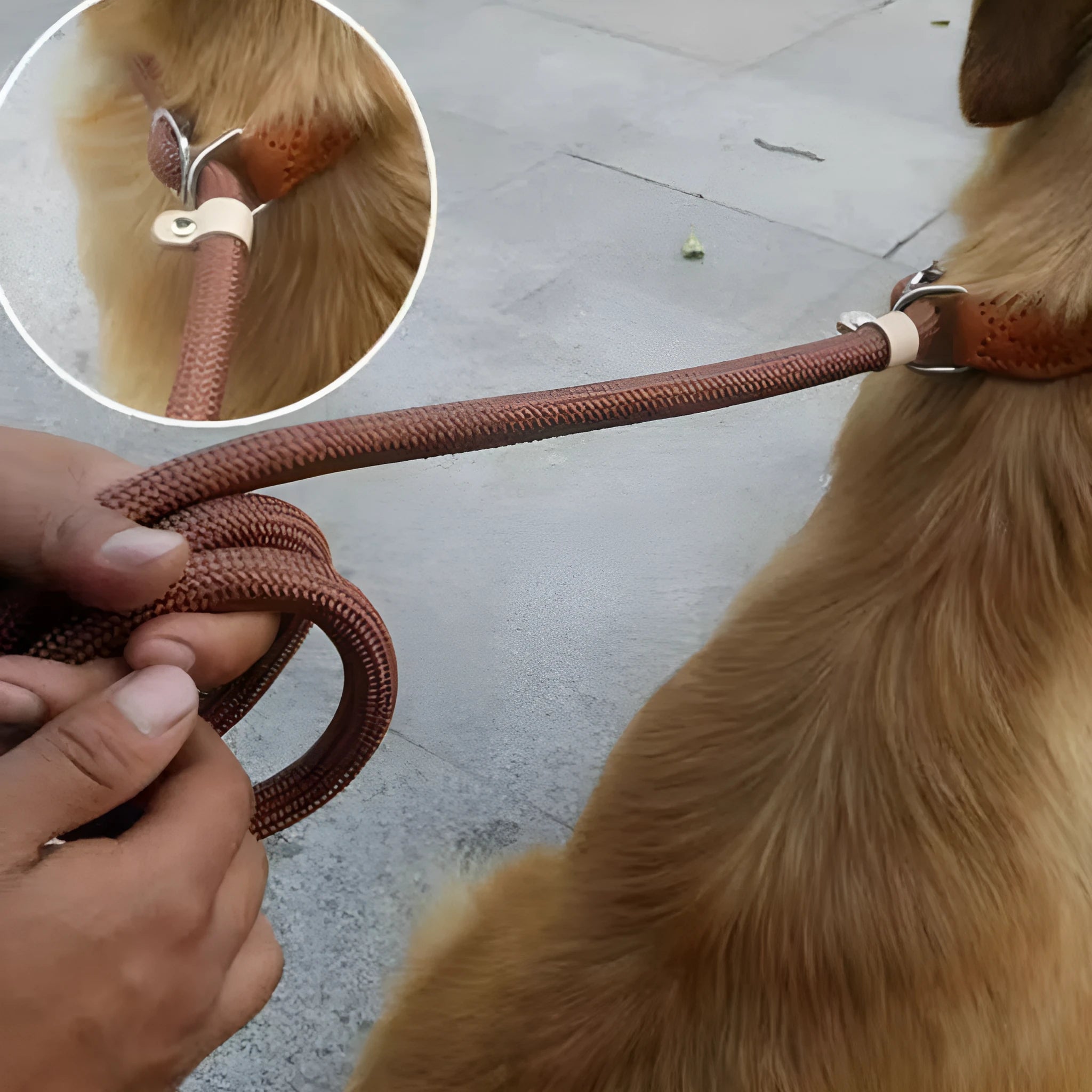Brown nylon P-chain dog leash with hand holding rope measuring 2.1 metres long