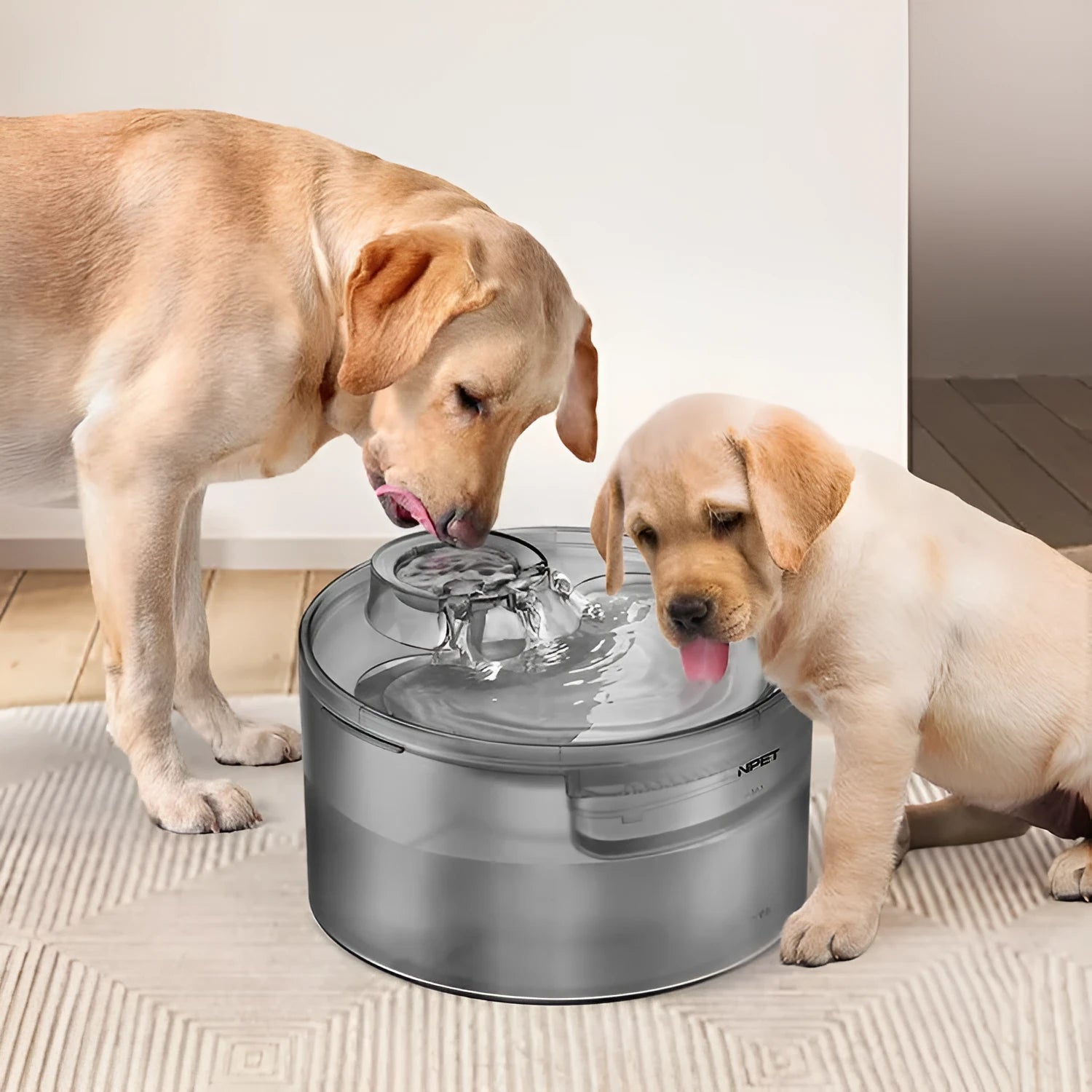 Automatic pet water dispenser with circulating system for cats and dogs, includes filter cartridges
