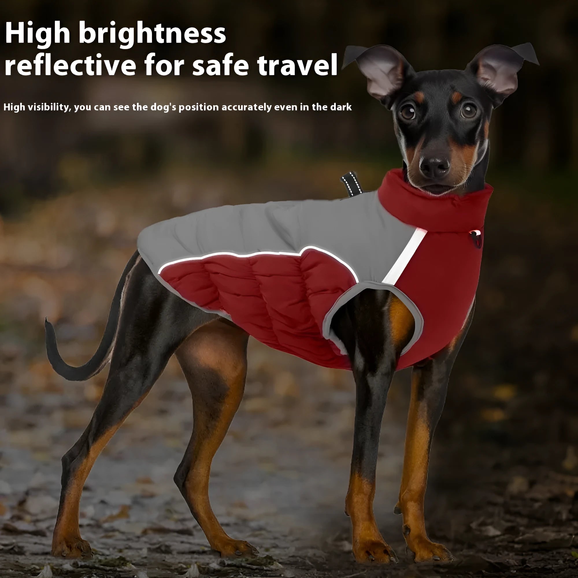 Cotton windproof winter coat for a medium or large dog in black, blue, red, or navy blue.