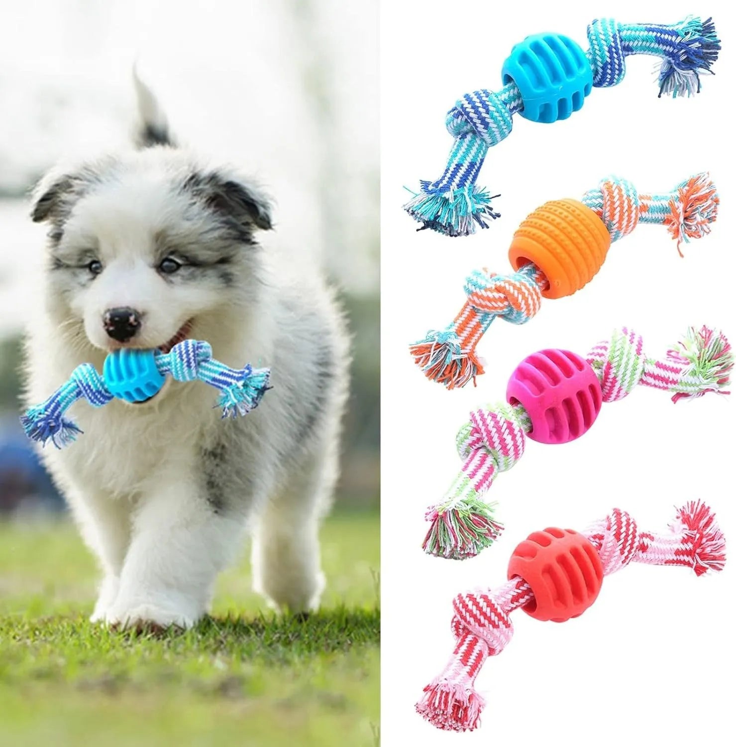 Set of blue and green rope and soft molar chew toys for dogs on a white background.