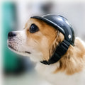 Black pet motorcycle helmet for dog or cat with adjustable strap on a bicycle