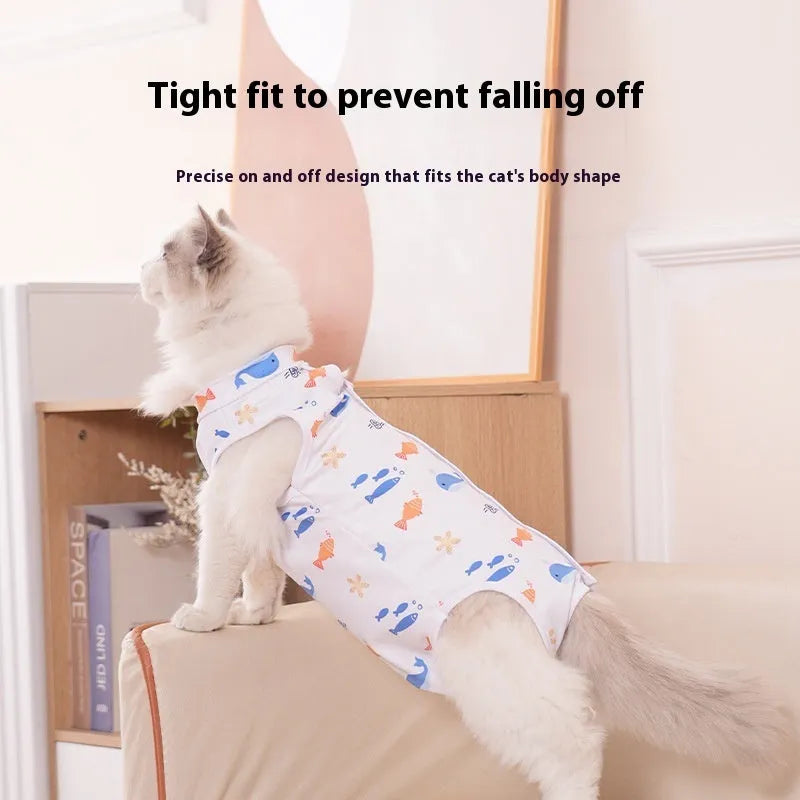 Grey cat wearing a light blue adjustable velcro recovery suit after sterilisation surgery.