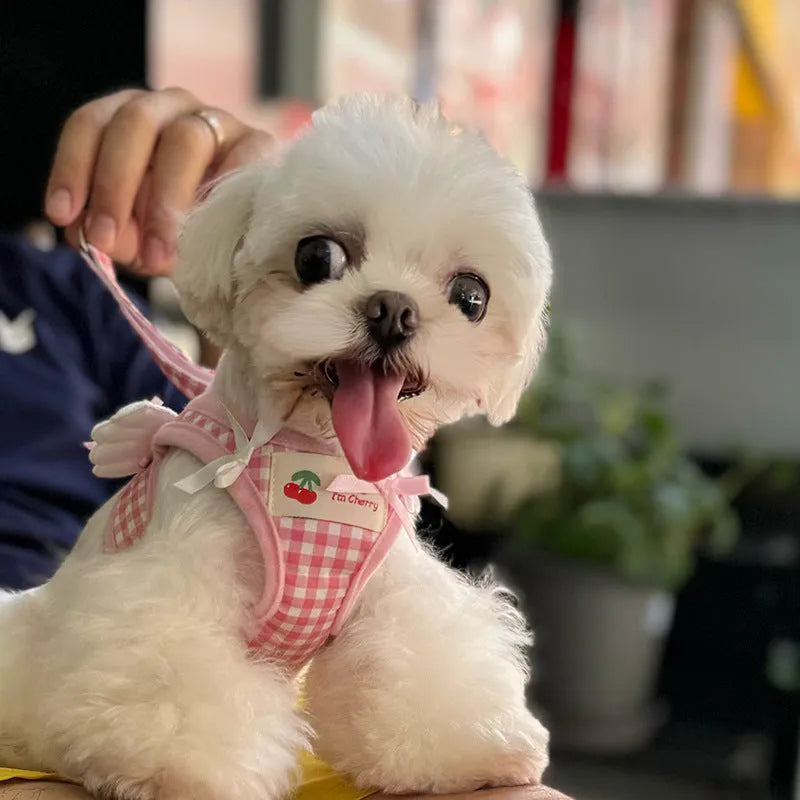 Pink cotton chest and back hand holding rope harness for a small dog on a white background.