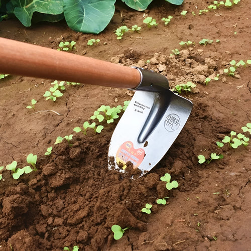 Agricultural pointed hoe tool with a flat steel blade and stainless steel shaft.
