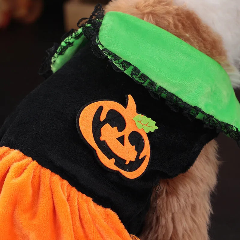 Small dog wearing a crystal velvet Halloween pumpkin skirt costume next to a Halloween sweater pet outfit.