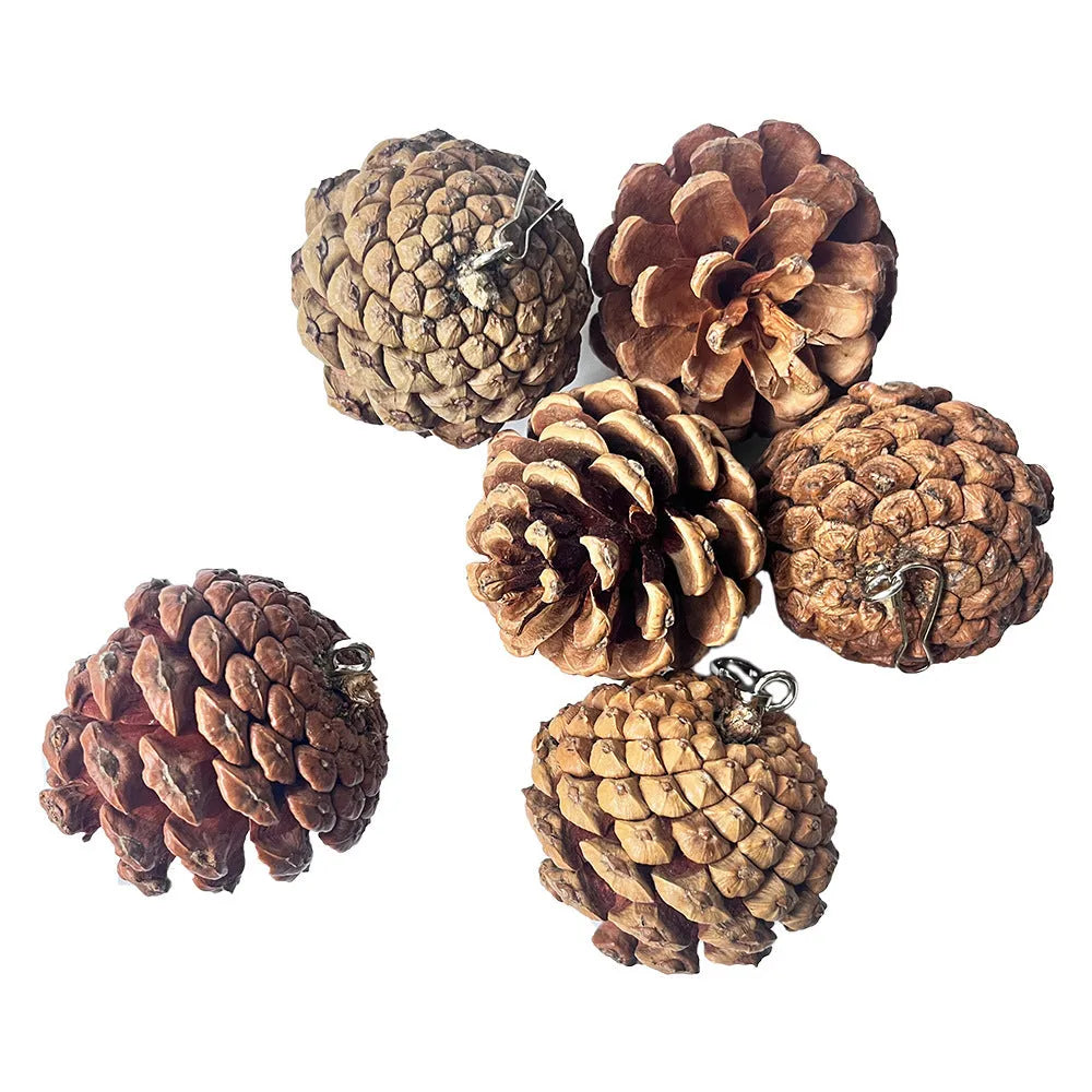 5-6cm pine cone parrot bite toy with metal studs and buckle option for pet birds