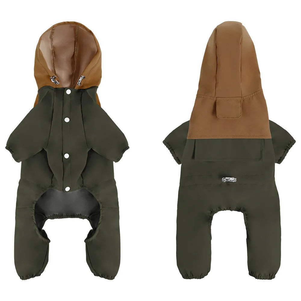 Small to medium sized dog wearing a khaki coloured waterproof polyester shell jacket.