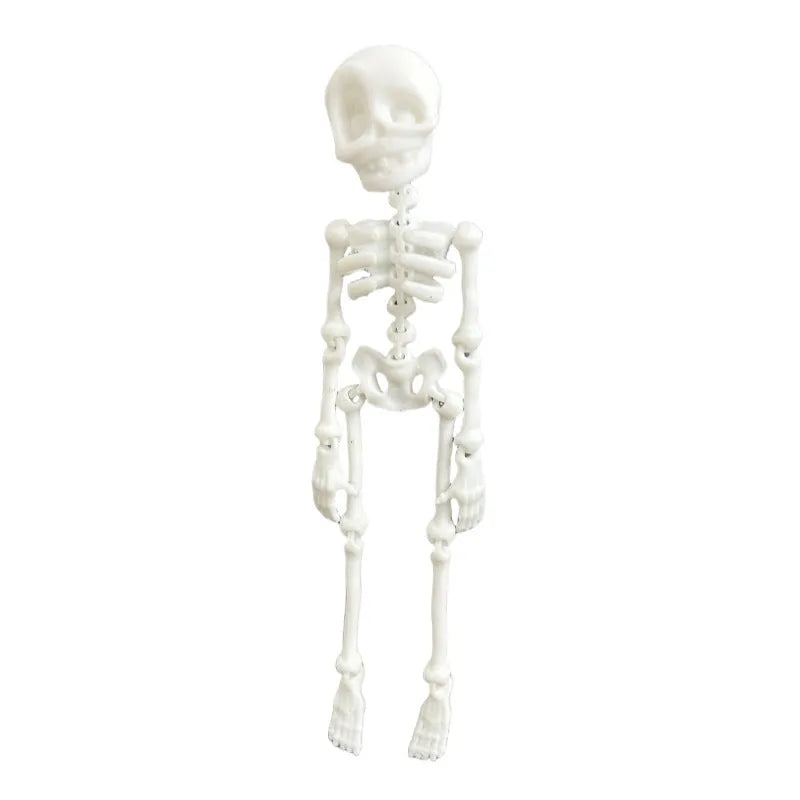 A detailed 3D printed white skull refrigerator magnet, 18cm tall, against a dark background.