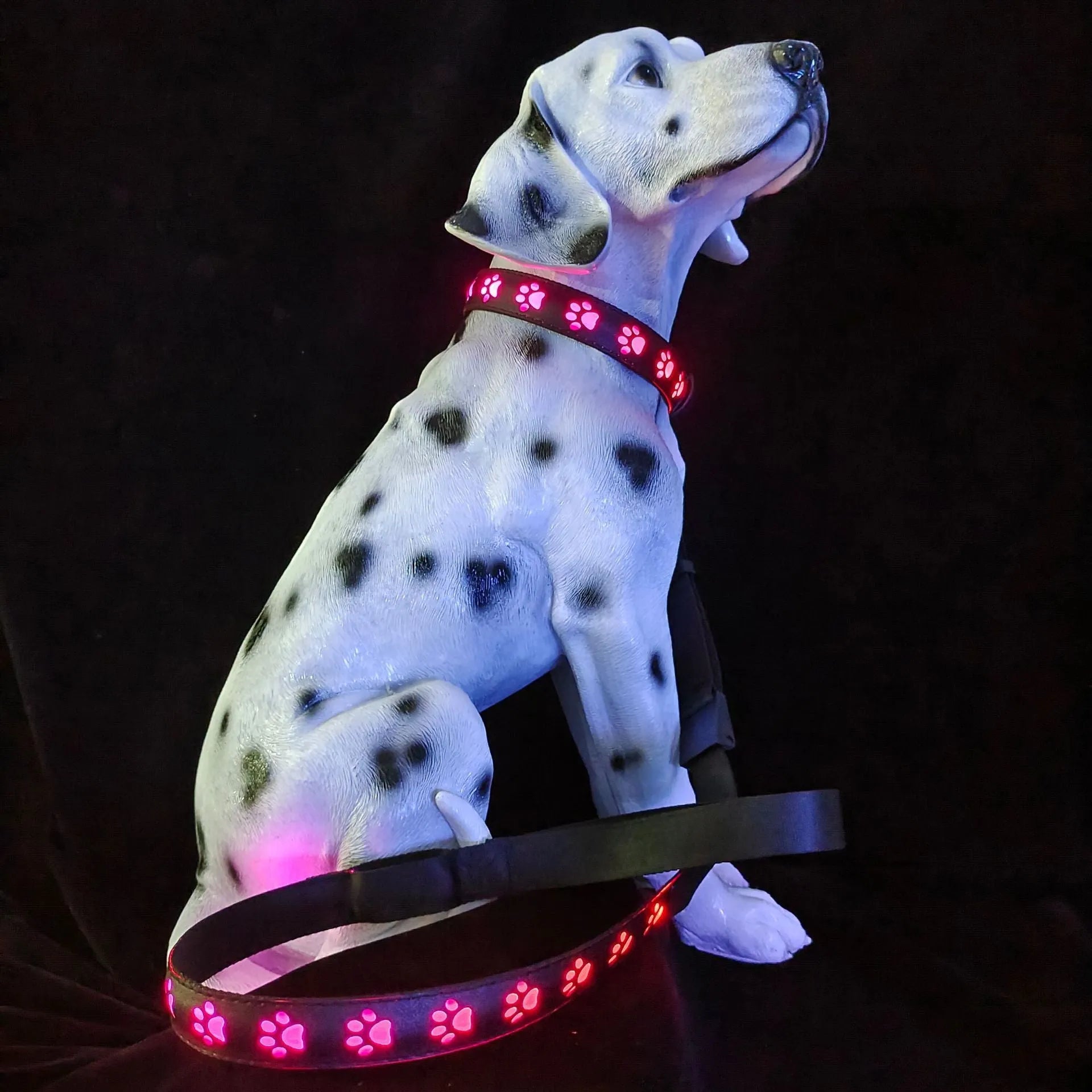 A glowing LED pet collar for cats showing multiple colours, with a USB charging cable.