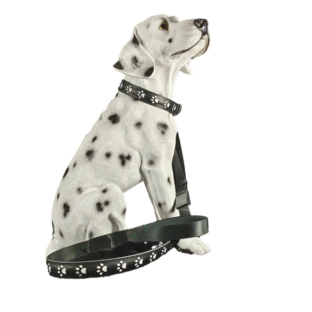 A glowing LED pet collar for cats showing multiple colours, with a USB charging cable.