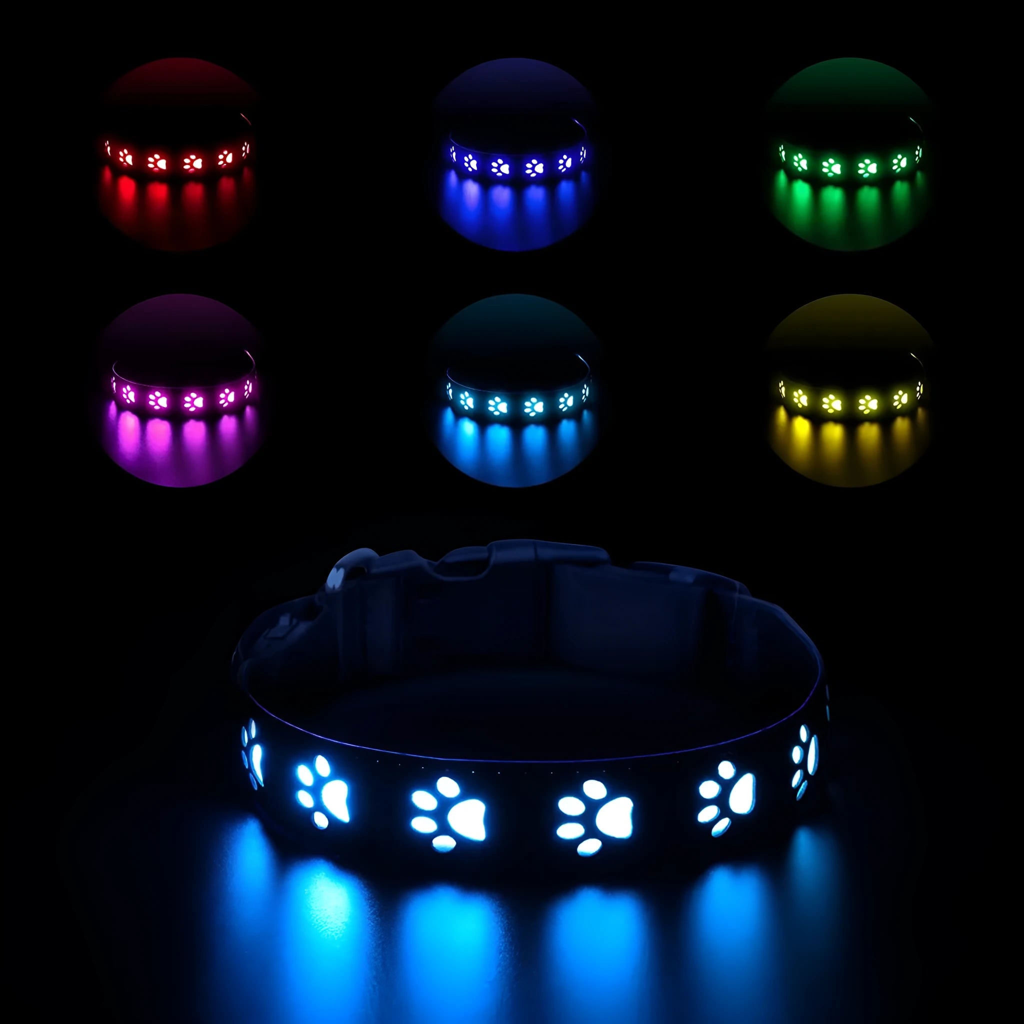 A glowing LED pet collar for cats showing multiple colours, with a USB charging cable.