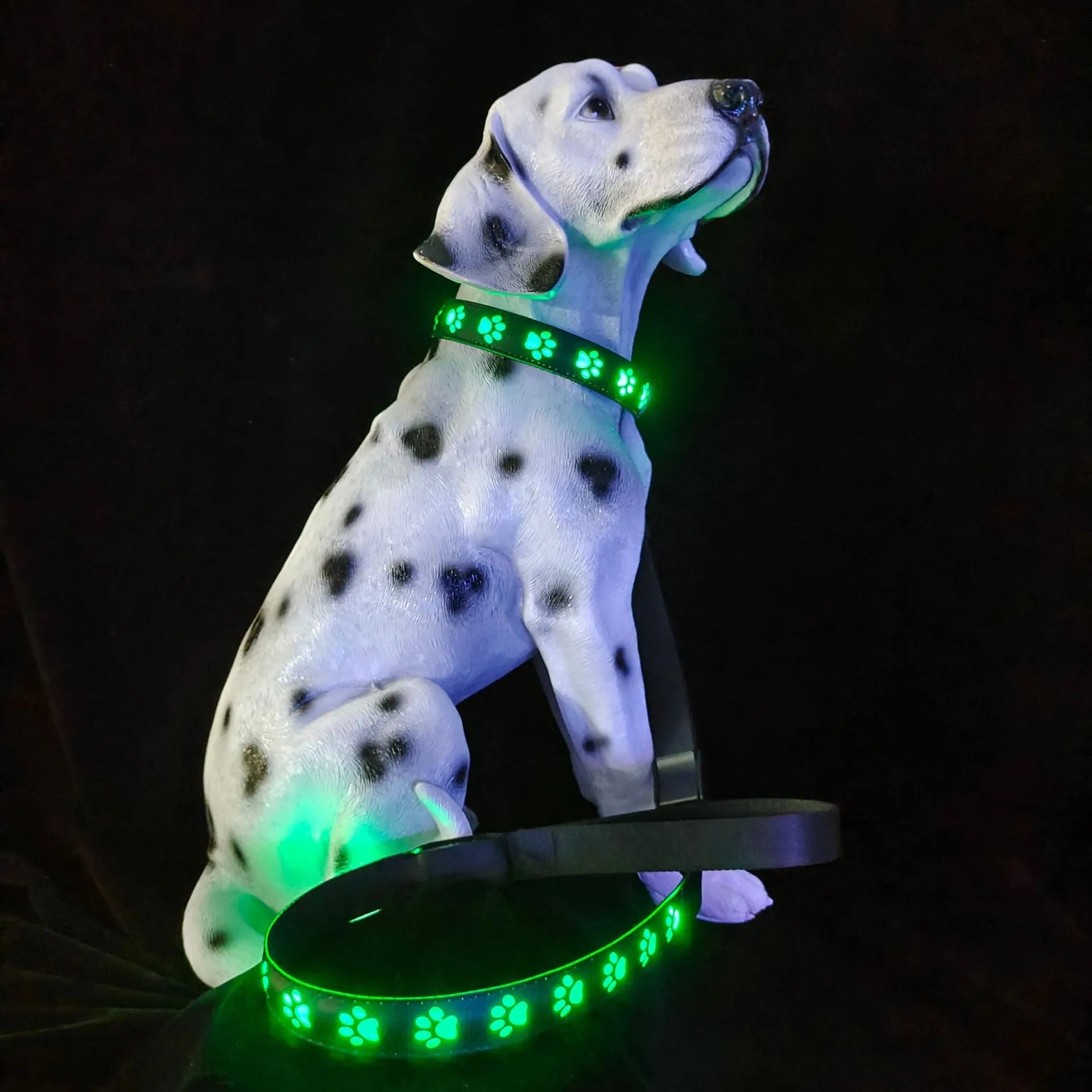 A glowing LED pet collar for cats showing multiple colours, with a USB charging cable.