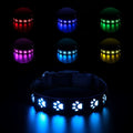 A glowing LED pet collar for cats showing multiple colours, with a USB charging cable.