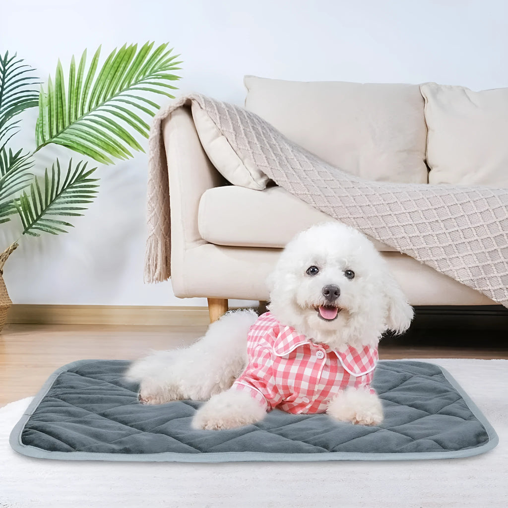 Grey cloth multi-layer pet cushion shown in four available sizes for dogs and cats.