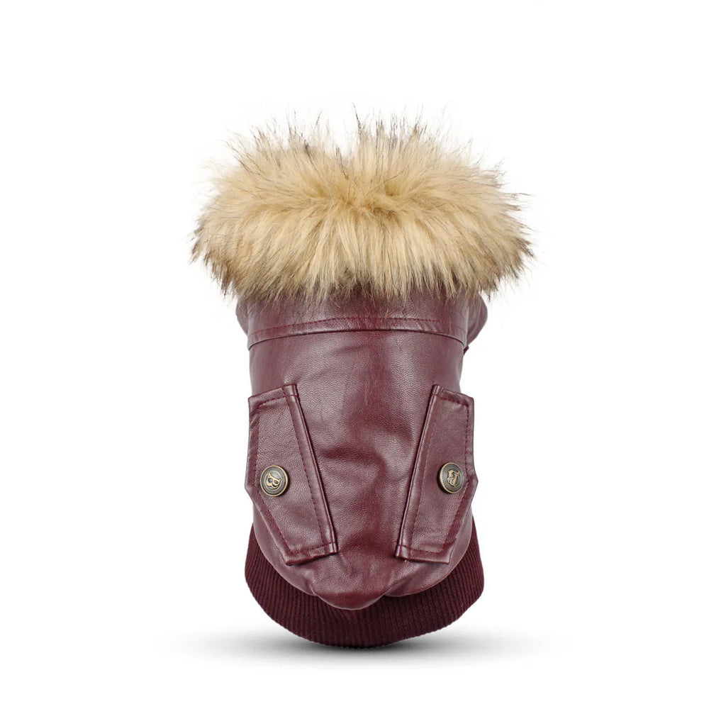 British-style leather dog coat with fur-trimmed collar in black or wine red colour