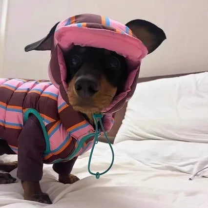 Striped knitted dog vest with matching hat in dirty pink colour for autumn and winter pet wear