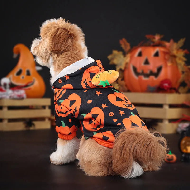 Wansheng pet pumpkin sweater in orange polyester fabric for dogs and cats sizes S to 2XL