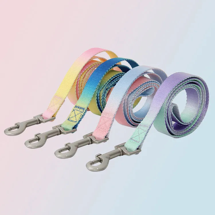 Gradient colour dog leash set with reflective nylon and adjustable chest strap in pink blue pattern