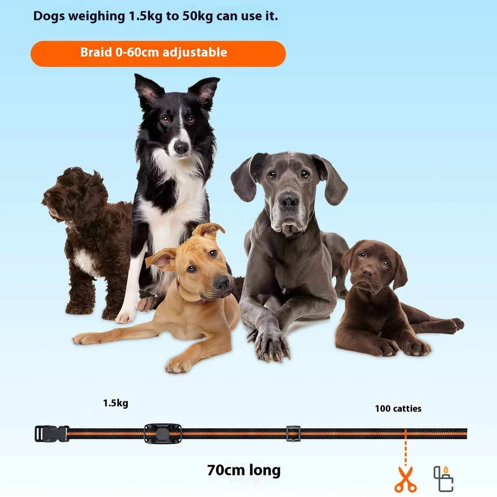 Orange R1 waterproof remote control bark stopper dog training electric shock collar for single dog