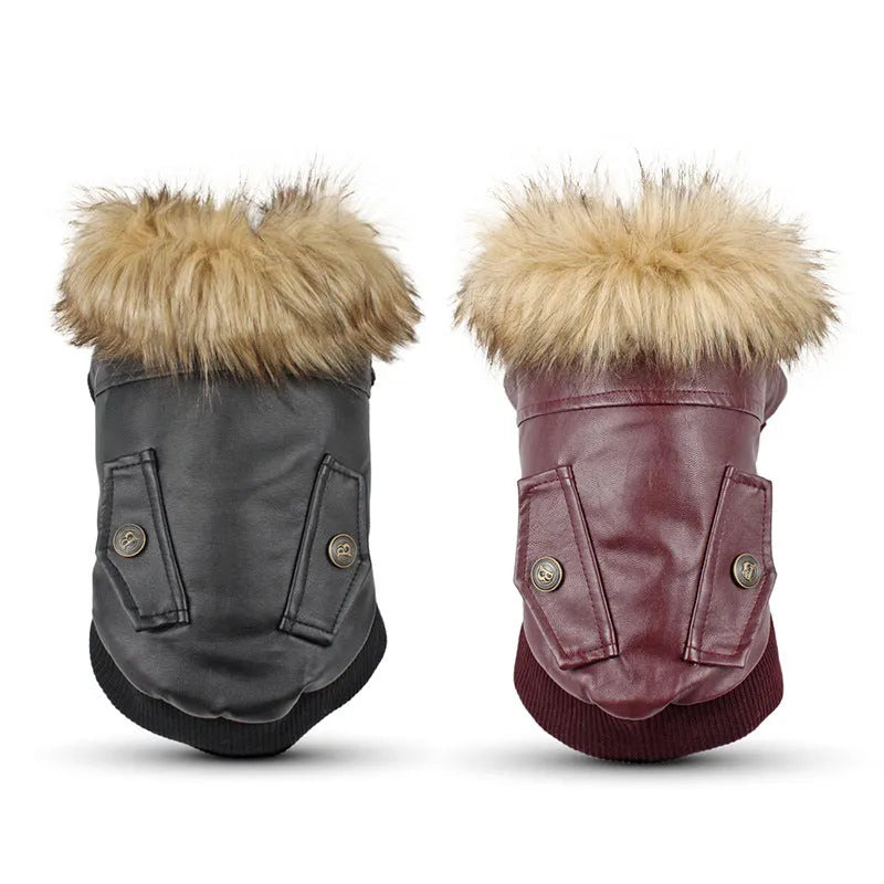 British-style leather dog coat with fur-trimmed collar in black or wine red colour