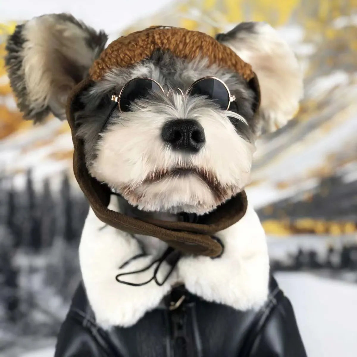 Black leather dog jacket winter coat biker-style vest on canine