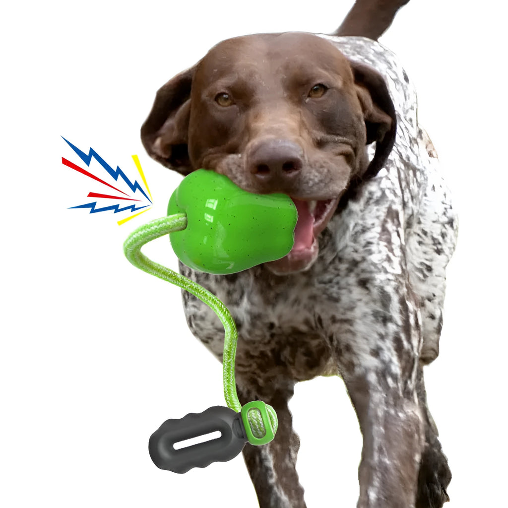 Green and red Apple-shaped dog molar toy with food-dropping ball design for outdoor canine enrichment
