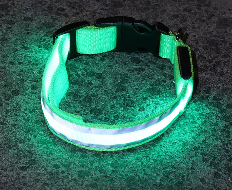 LED luminous anti-lost dog collar in nylon webbing, available in XS to XL and 16 colour options