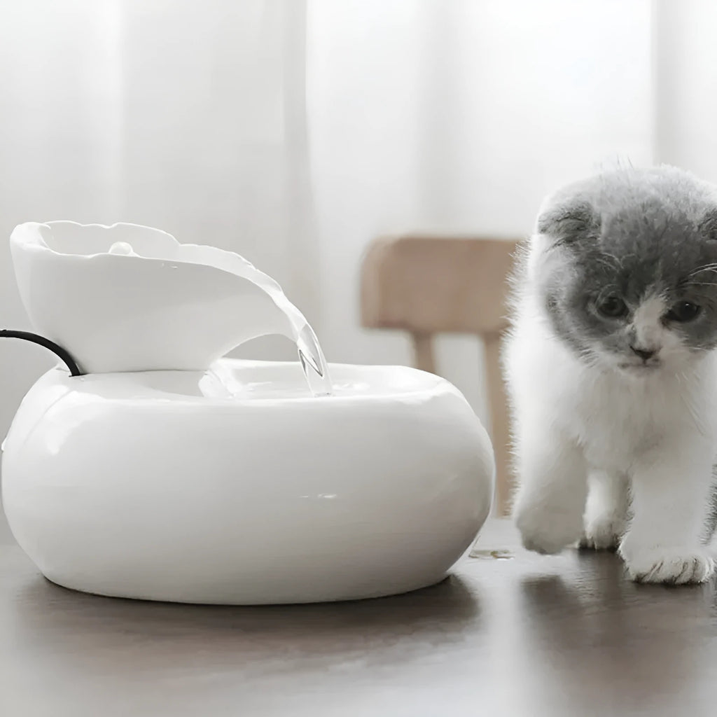 White ceramic automatic cat water dispenser with leaf design and US plug on a wooden floor