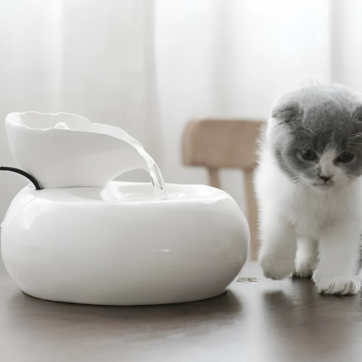 White ceramic automatic cat water dispenser with leaf design and US plug on a wooden floor