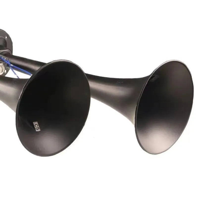 Black dual trumpet car air horn kit with compressor for 12V and 24V vehicles.