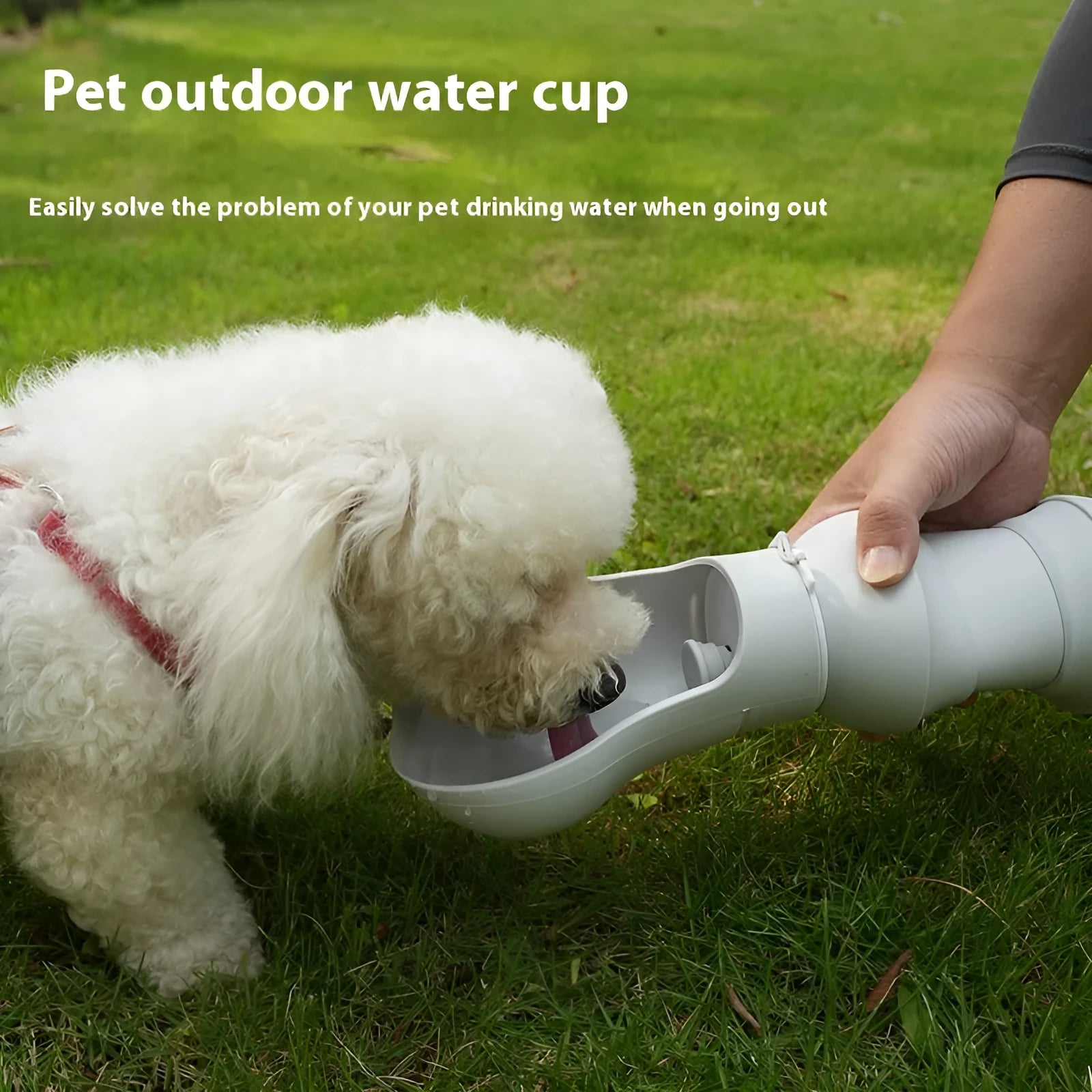 Folding silicone pet drinking cup shown collapsed and expanded for portable outdoor use